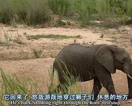 逃狱兄弟3（国语版）