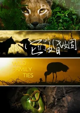 亲爱的她不是孙大圣